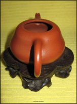 Dn z Zhao Zhuang