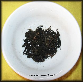 Bambus Pu Er, Dianpu 2007