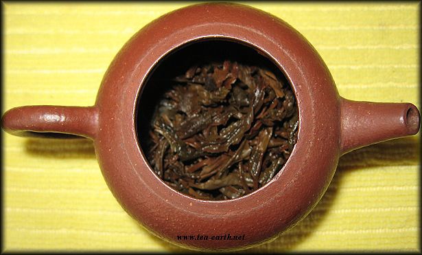 Fu Hai TF, Zhuan Cha 250g, 2000