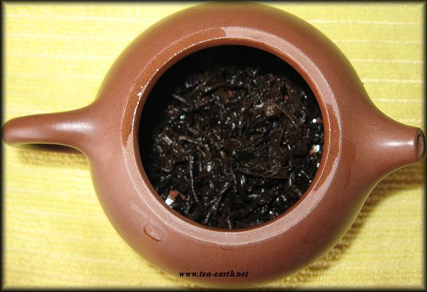 Jing Gu Gushu Tuocha 2009