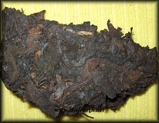 Lao Cang Da Ye 1999, Zhuan Cha