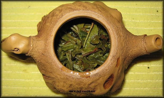 Long Feng Blue Label Xiao Beeng Cha 200g, 2010