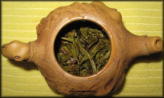 Long Feng Green Label Xiao Beeng Cha 200g, 2010