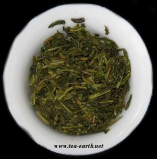 Bai Sha Lü 2008