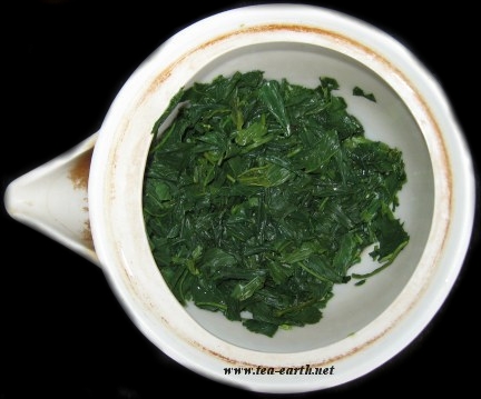 Gyokuro Fuuki, 2008