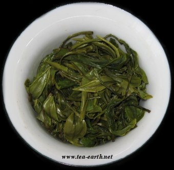 Long Jing Formosa, 2008