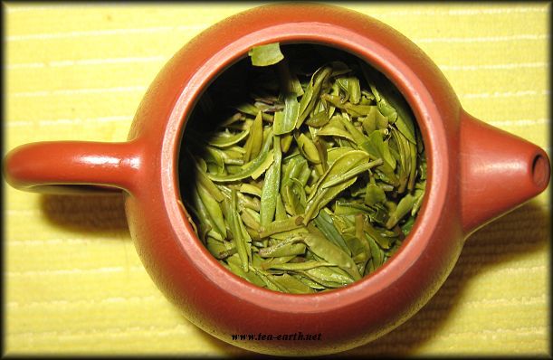 Long Jing, vesnice Long Jing, AAA 2010 / Dračí Studna - zelený čaj