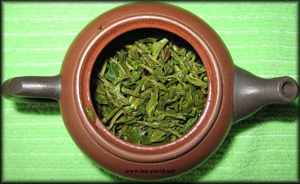 Lu Xue Ya, 2010 Zelený Sníh