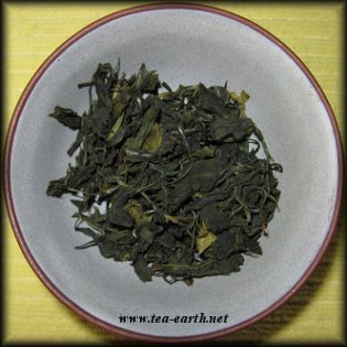 Rohini Emerald Green, Darjeeling, 2009