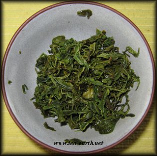 Rohini Emerald Green, Darjeeling, 2009