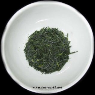 Sencha Asatsuyu, 2008