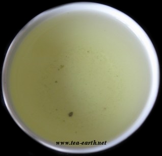 Sencha Okumidori, 2008