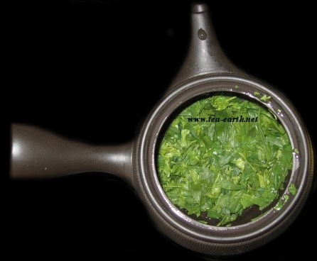 Sencha Okuyutaka