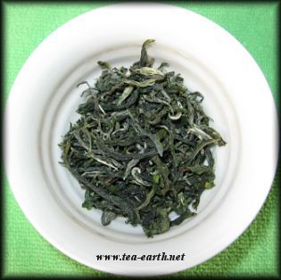 Yunnan Bai Yun, 2009