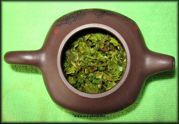 Yunnan Bai Yun, 2009