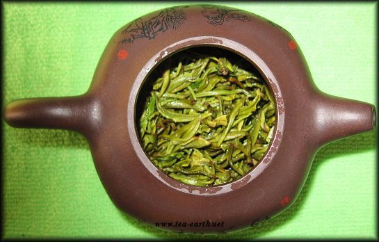 Yunnan Cui Ming, Gao Shan 2009