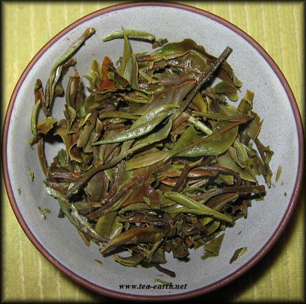 Yunnan Yue Guang Bai 2010