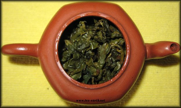 tyi ron obdob, Organic oolong 2009