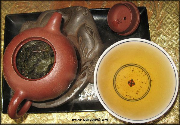 2008TGYchengnian