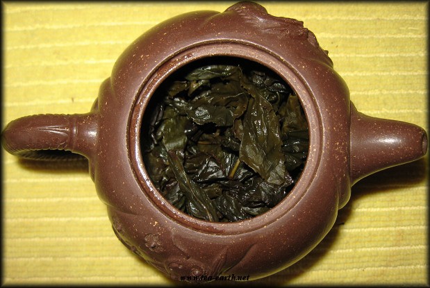 Gue Fei "Semi" Wild Bush, Dong Ding 2010