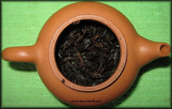 Da Hong Pao, 2009