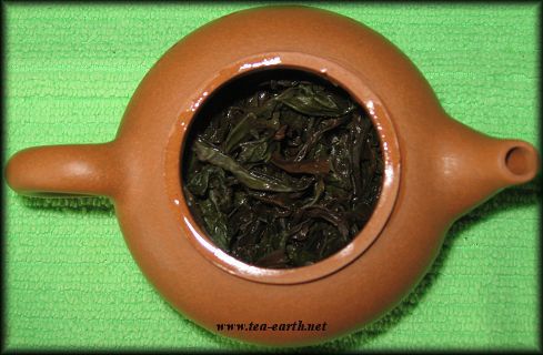 Da Hong Pao, 2008