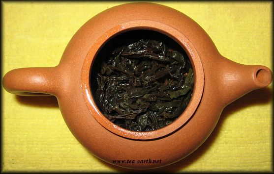 Da Hong Pao, 2008