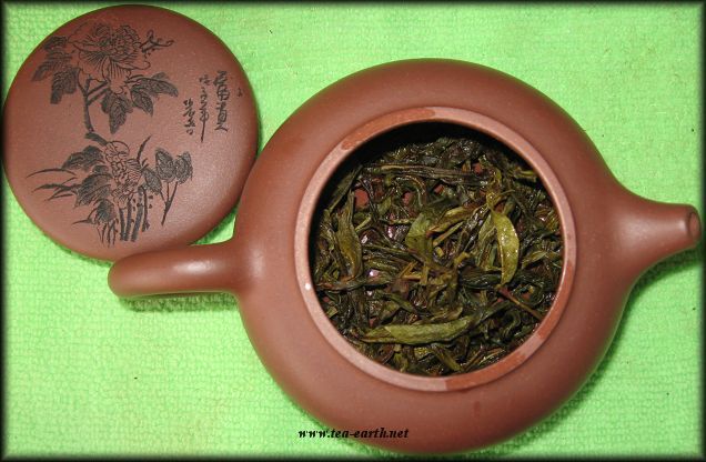 Huang Zhi Dan Cong