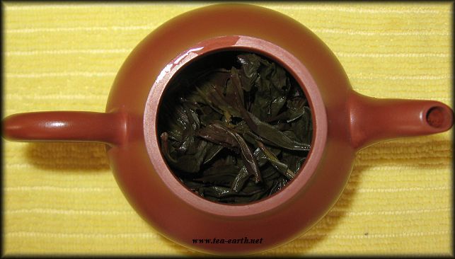 Shui Lan Dong Bai Mu Dan 2010