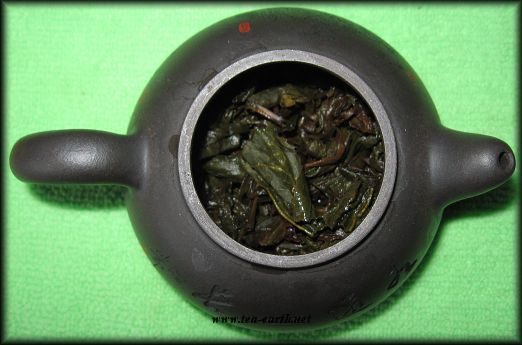 Shui Xian Lao Cong 2008