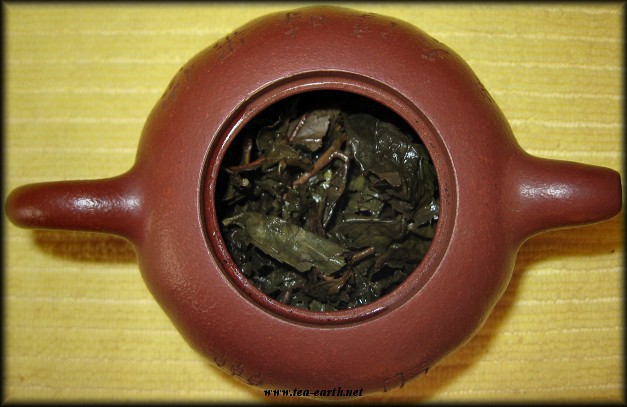 Tie Guan Yin Anxi Xi Ping, 1998 Gr. AA