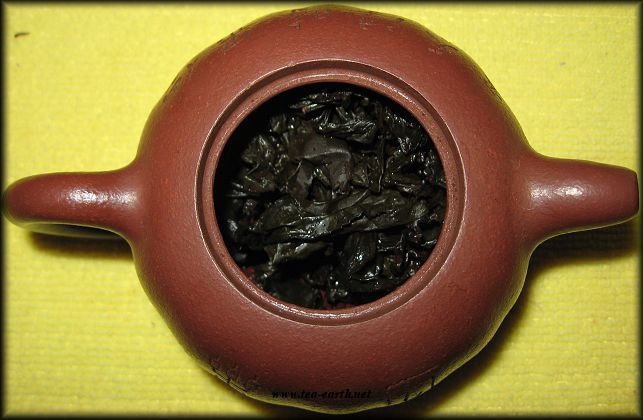 Tie Guan Yin, Mu Zha, Formosa 2010